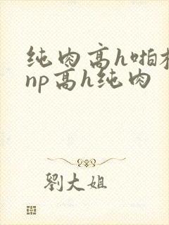 纯肉高h啪校园np高h纯肉封面