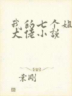我的七个姐姐是大佬小说封面