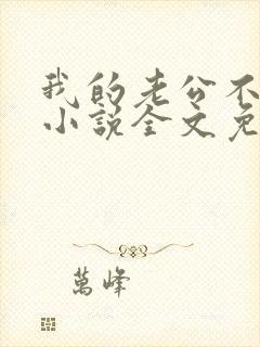 我的老公不一样小说全文免费阅读