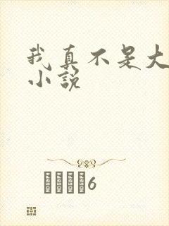 我真不是大反派小说封面