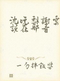 沈晚梨谢云迟小说在哪看