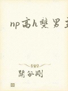 np高h双男主