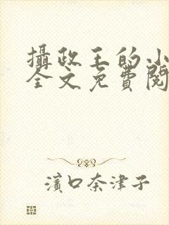 摄政王的小王妃全文免费阅读