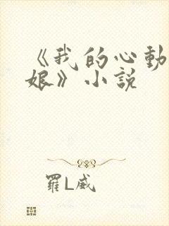 《我的心动老板娘》小说