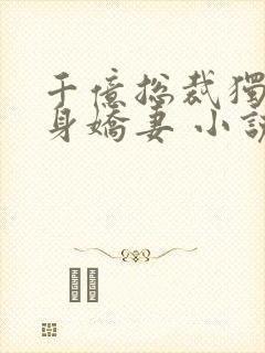 千亿总裁独宠替身娇妻 小说完整