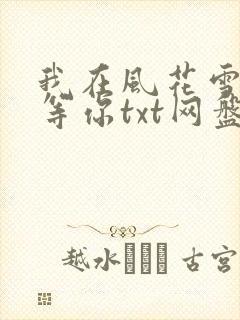 我在风花雪月里等你txt网盘