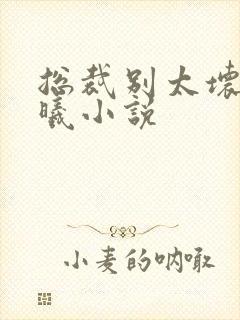 总裁别太坏夏紫曦小说