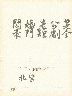 闪婚老公是超级豪门短剧全集