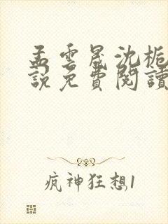 孟云晟沈栀意小说免费阅读最新章节