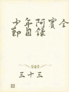 少年阿宾全文章节目录