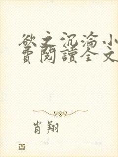 欲之沉沦小说免费阅读全文