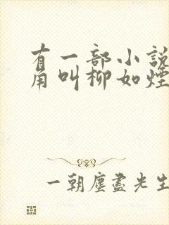 有一部小说女主角叫柳如烟封面