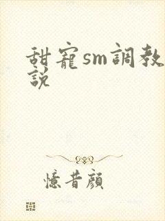 甜宠sm调教小说