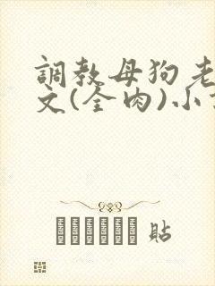 调教母狗老师短文(全肉)小说
