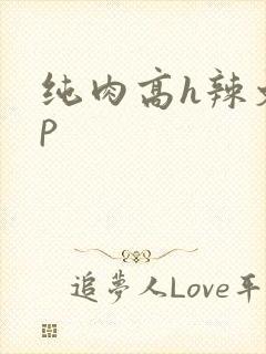 纯肉高h辣文np