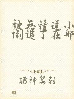 被无情道小师弟倒追了在哪看封面