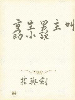 重生男主叫江辰的小说