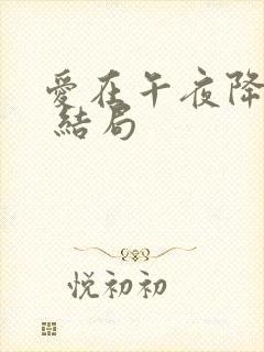 爱在午夜降临前 结局