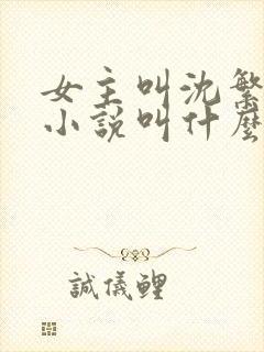 女主叫沈繁星的小说叫什么名字