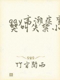 gay高潮痉挛哭叫失禁小说