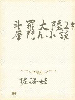 斗罗大陆2绝世唐门h小说封面