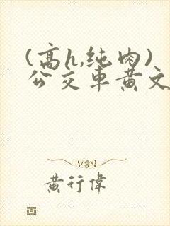 (高h,纯肉)公交车黄文