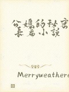 公媳的秘密性事 长篇小说