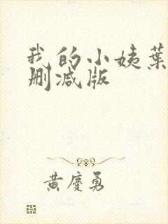 我的小姨叶凡未删减版