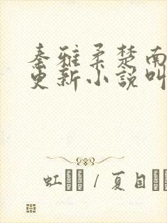 秦雅柔楚南刚刚更新小说叫什么名字