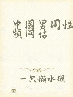 中国男同性恋视频网站