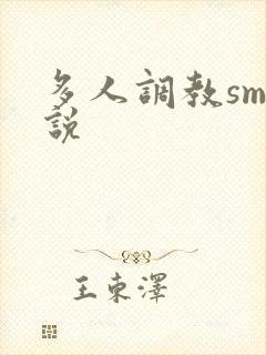 多人调教sm小说
