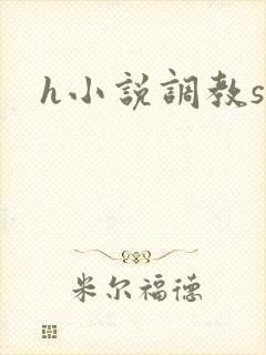 h小说调教sm