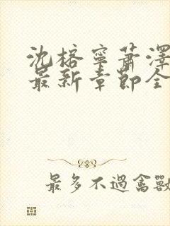 沈榕宁萧泽小说最新章节全文阅读