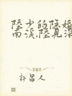 陆少的隐婚罪妻南溪,陆见深