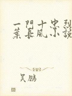 一门十忠烈叶凡叶长风小说名字封面