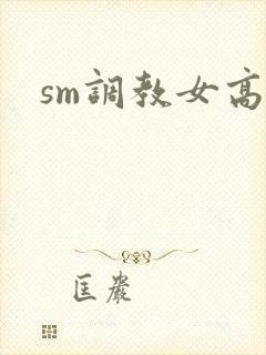 sm调教女高h封面