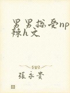 男男总受np高辣h文