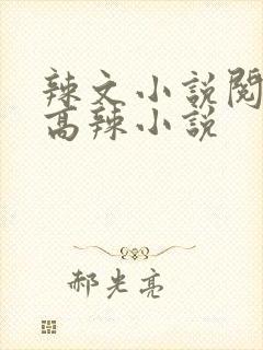 辣文小说阅读网高辣小说