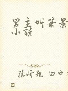 男主叫萧景琛的小说