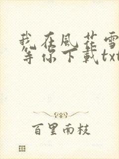 我在风花雪月里等你下载txt