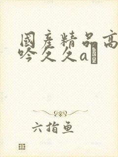 国产精品高潮呻吟久久aγ