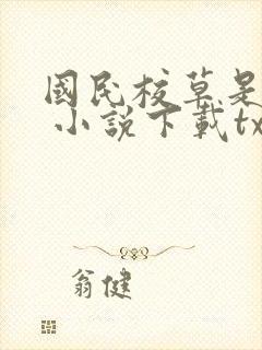 国民校草是女生 小说下载txt