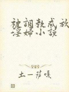 被调教成放荡小淫妇小说封面