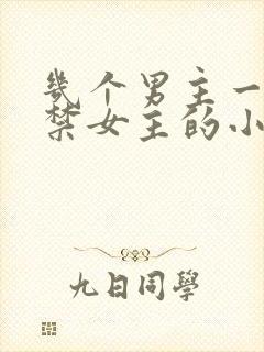 几个男主一起囚禁女主的小说