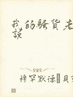 我的骚货老婆小说