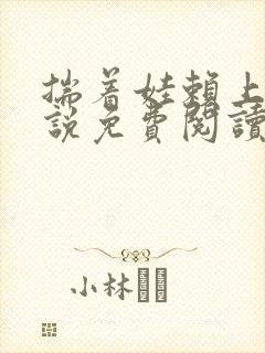 揣着娃赖上他小说免费阅读