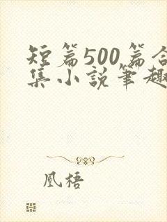 短篇500篇合集小说笔趣阁