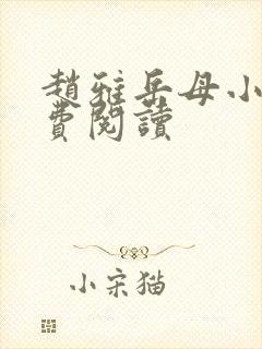 赵雅岳母小说免费阅读封面