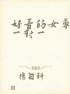 好看的女尊小说一对一封面