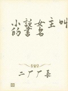 小说女主叫沈念的书名